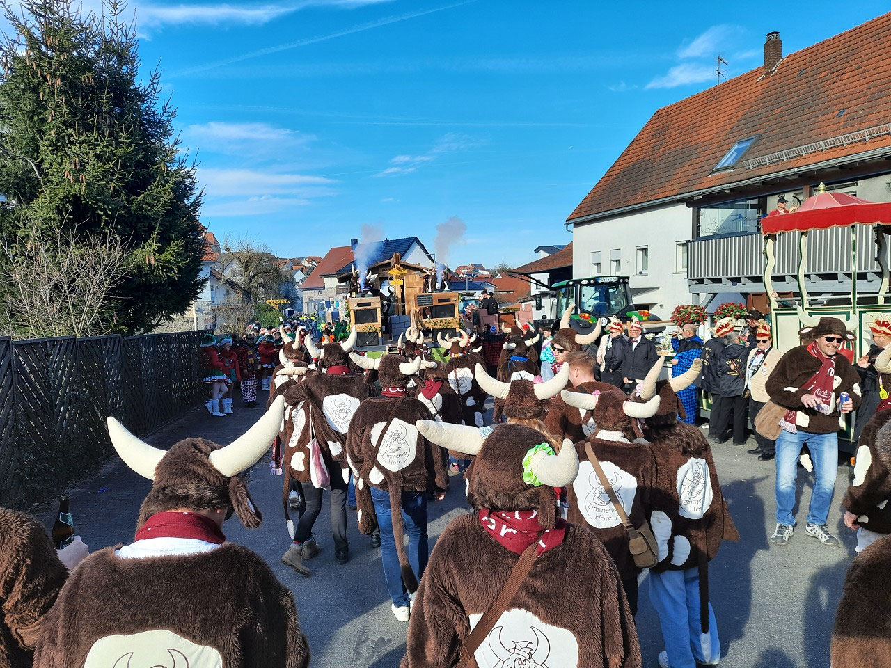 Die Zimmerner Hore in Kuhkostümen beim Umzug 2025